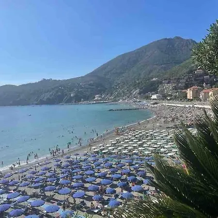 Villino Aranci Nuovo Monolocale In Centro Levanto