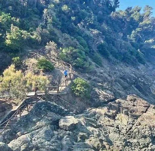 Villino Aranci Nuovo Monolocale In Centro Daire